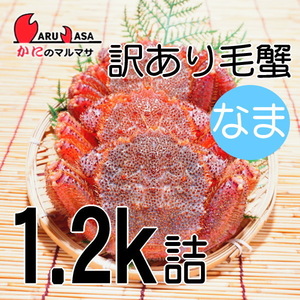 [ краб. maru masa] Hokkaido производство есть перевод . четырёхугольный волосатый краб 1.2 kilo .(2~4 хвост входить )