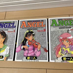 送料無料 遊人 ANGEL エンジェル 全3巻 小学館 ヤングサンデーコミックスの画像1