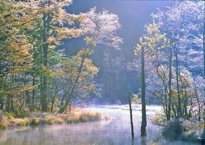 M30 田代池/湿原/上高地/長野県/日本の風景/アートパネル/ファブリックパネル/インテリアパネル/ポスター