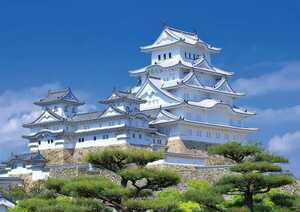 M2 Himeji castle / Hyogo / white . castle / japanese scenery / art panel / fabric panel / interior panel / poster 