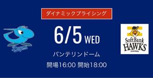 ６月５日(水) 中日ドラゴンズ 対福岡ソフトバンクホークス　レフト側ドラゴンズ 外野応援席　ペア