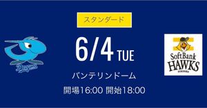 ６月４日(火) 中日ドラゴンズ 対福岡ソフトバンクホークス　レフト側ドラゴンズ 外野応援席　ペア