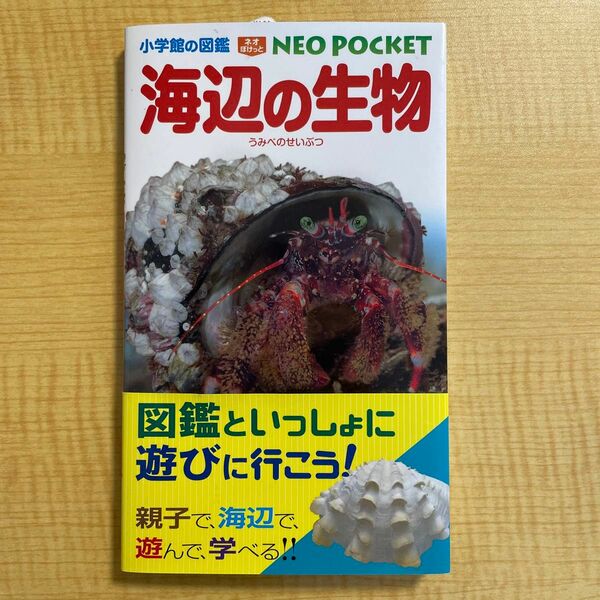 海辺の生物 （小学館の図鑑ＮＥＯ　ＰＯＣＫＥＴ　６） 白山義久／〔ほか〕指導・執筆　松沢陽士／ほか写真　楚山いさむ／ほか写真