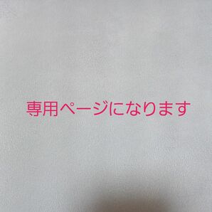 こちらは専用ページになります。　　大きめトートバッグ