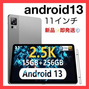 【2.5K タブレット 2024】DOOGEE T30 Pro タブレット 11インチ android13 タブレット 15GB 