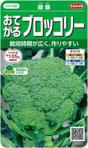 サカタのタネ 実咲野菜2504 おてがるブロッコリー 緑嶺 00922504