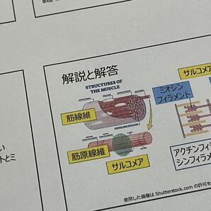 【2024年版】NSCA-CPT試験対策問題集（700問）オールカラーの画像3