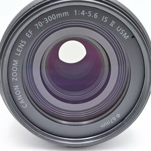 Canon 望遠ズームレンズ EFレンズ EF70-300mm F4-5.6 IS II USMの画像8