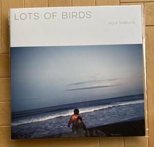 未開封品　Koji Shibuya (澁谷浩次) / Lots of Birds (LP) ◎ yumbo