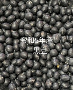北海道産　黒豆　５kg 送料無料