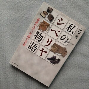 【私のシベリヤ物語】朝鮮で現地徴集後、ソ連国境で終戦、捕虜生活三年間の青春