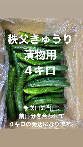 秩父きゅうり　漬物用4キロ