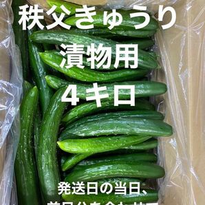 秩父きゅうり　漬物用4キロ