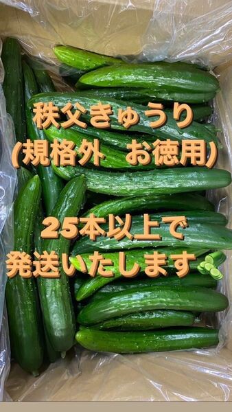 秩父きゅうり 25本以上 埼玉県秩父郡小鹿野町小鹿野産 新鮮 野菜 きゅうり