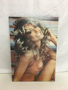 ☆ファラ・フォーセット/Farrah Fawcett 木製 ポスターパネル　チャーリーズエンジェル Charlie's Angels 当時物 ビンテージ 昭和レトロ