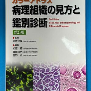 病理組織の見方と鑑別診断