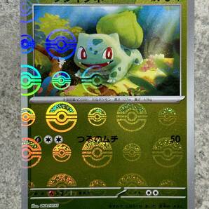 ポケモンカードゲーム151 プロモ ヒトカゲ、ゼニガメ、フシギダネ モンスターボール 3枚セット 060/SV-P Pokemon Cards Charmanderの画像6