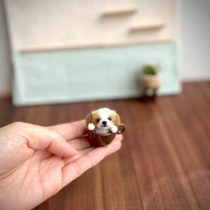 ＊maru＊羊毛フェルト 小さなカップに入ったシーズー犬 ハンドメイド ブライス 人形 ドールハウスの画像3