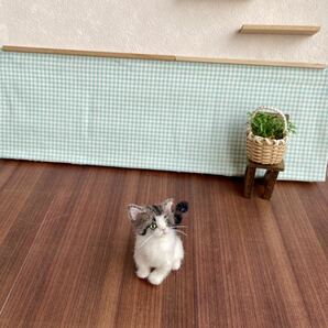 ＊maru＊羊毛フェルト 小さなキジ白 子猫 ハンドメイド ブライス 人形 ドールハウスの画像10