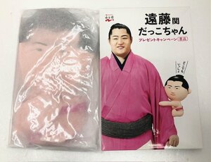 【未使用品】 永谷園 遠藤関 だっこちゃん プレゼントキャンペーン 景品 (管理番号：060102）