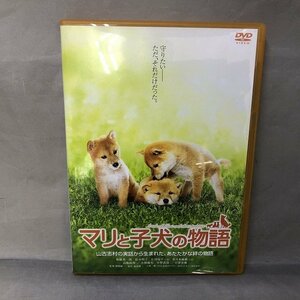 【中古品】マリと子犬の物語 　DVDソフト （管理番号：046113）