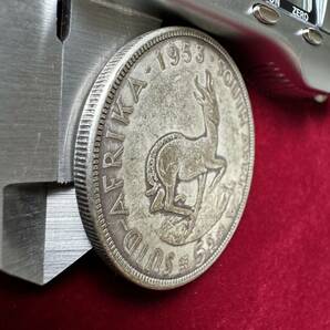 南アフリカ 硬貨 古銭 エリザベス2世 1953年 イギリス領南アフリカ スプリングボック 跳羚羊 コイン の画像3