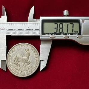 南アフリカ 硬貨 古銭 エリザベス2世 1953年 イギリス領南アフリカ スプリングボック 跳羚羊 コイン の画像4