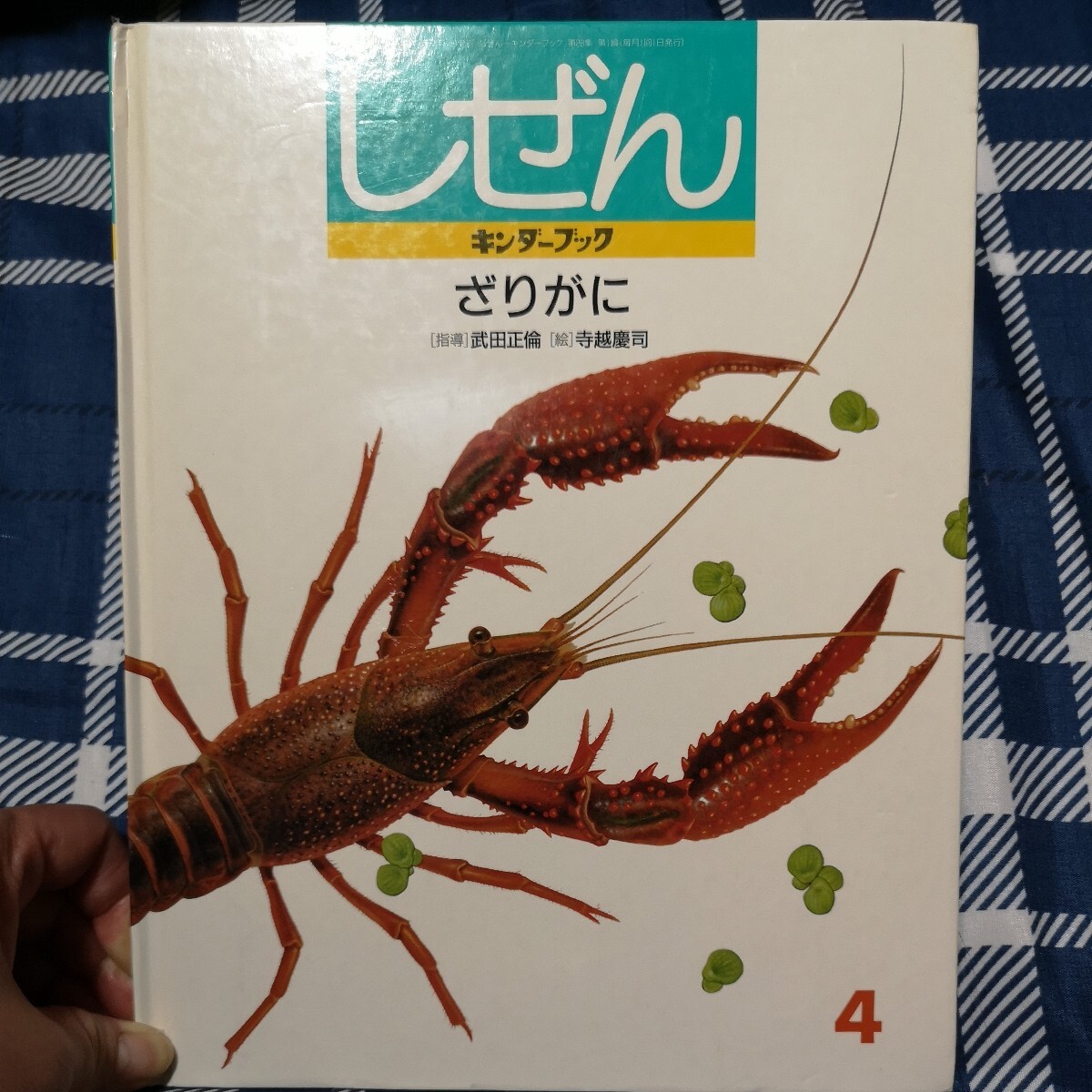 2025年最新】Yahoo!オークション -ザリガニ(児童書、絵本)の中古 2025年最新】Yahoo!オークション -ザリガニ(児童書、絵本)の中古