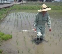 チェーン除草機 幅2．55ｍ(8条)　B型チェーン35ｃｍ12ピース　人力用（体力に自信のある方に）水田除草　 無農薬有機栽培・春準備用品_画像6