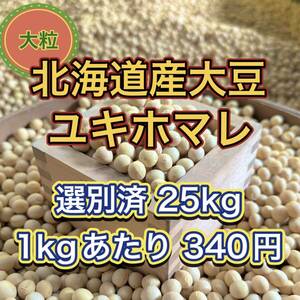 大人気 北海道産 大豆 25kg 匿名配送 自家製 味噌 納豆 豆腐 豆乳 国産 小豆 ユキホマレ