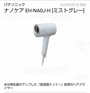 EH-NA0J- H ミストグレー 新品 未開封 送料無料 パナソニック ナノケア