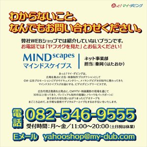 8ミリビデオ・Hi8・Digital8テープをDVDに格安ダビング【ヤフオク限定激安プラン】思い出のビデオテープ1本につき120分までの画像10