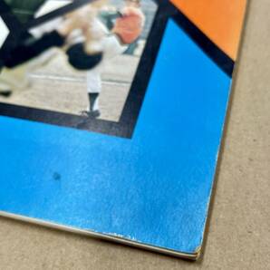 【当時物】大洋ホエールズ イヤーブック ファンブック 1974年 創刊号 パンフレット 旧横浜ベイスターズ 激レア！の画像6