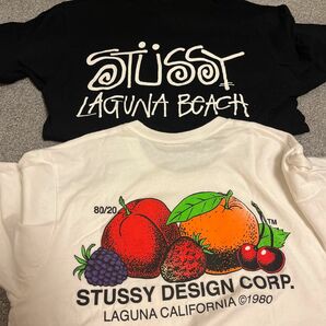 Stussy Tシャツ 2枚セット