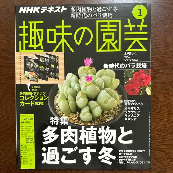 ＮＨＫ　趣味の園芸 ２０２０年１月号 （ＮＨＫ出版）