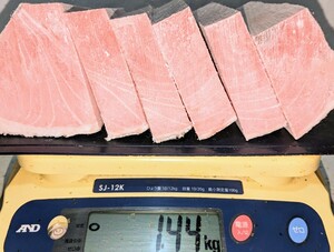 【即決】業務用養殖本鮪（マルタ産）腹/中トロブロック 1440g★１ブロック入り（６サクにカット済み） 