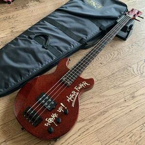 Edwards J-TVB-IV Glitter Jsig nature LUNA SEA ESP Logo ru нет -