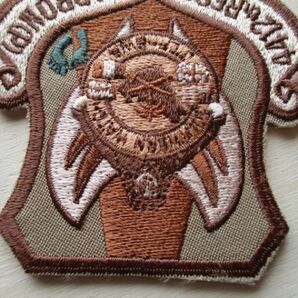 【送料無料】アメリカ空軍4412TH RESCUE SQUARON(P)パッチ刺繍ワッペン/patchエアフォースAIR FORCE米空軍USAF米軍USミリタリー M103の画像4