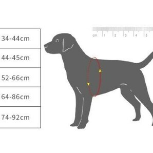 [新品/赤S-B] ペット用品 犬用 リード 胴輪 Sサイズ 赤 犬 ペット 10点セットの画像5