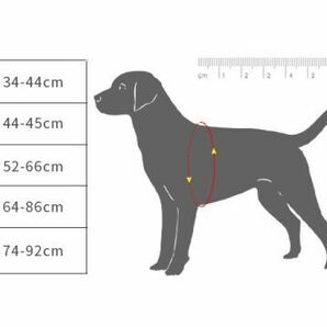 [新品] ペット用品 犬用 リード 胴輪 S M XSサイズ 犬 ペット 185個 大量まとめての画像3