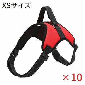 [新品/赤XS-A] ペット用品 犬用 リード 胴輪 XSサイズ 赤 犬 ペット 10点セット