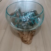 流木ガラス オブジェ 花瓶 多肉植物 アート作品 テラリウム_画像6
