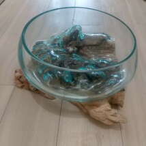 流木ガラス オブジェ 花瓶 多肉植物 アート作品 テラリウム_画像7