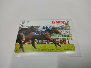 Gallop　ロードカナロア　安田記念