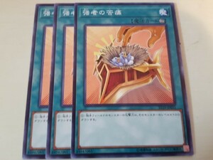 遊戯王 強者の苦痛 三枚 数量6