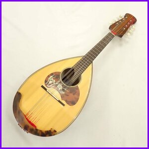 * rough .ere color che mandolin No.26/ White Butterfly . equipment ornament / hard case * pick * clip tuner attaching / stringed instruments / Junk &0000003466