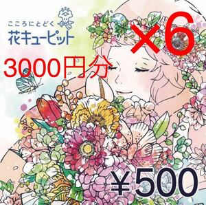 花とみどりのeギフト 花キューピッド　500円券　6個　3000円分　期限5/31まで