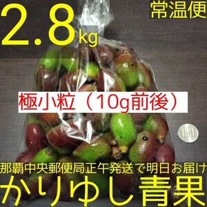 【極小粒（10g前後）】沖縄県産　摘果マンゴー/青マンゴー約2.8kg【常温便無料】①