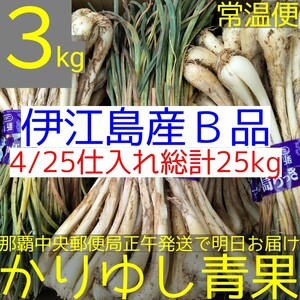 〈当店イチオシ〉伊江島産 島らっきょうＢ品約３kg【常温便無料】4/25①