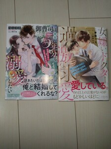 新刊　TL 小説「御曹司は空白の５年分も溺愛したい　結婚を目前に元彼に攫われました 」「女嫌いドクターの過激な求愛　地味秘書ですが」